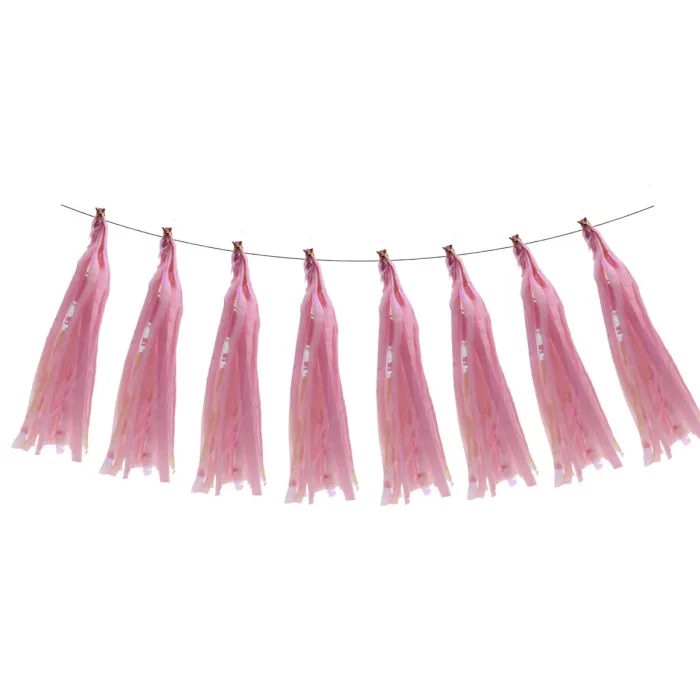 Este pacote contém 5 grinaldas de tassel rosa