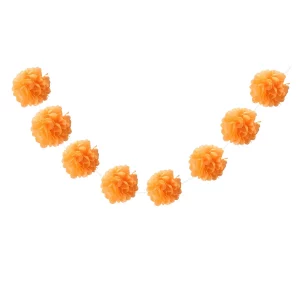 Perfeita para ocasiões especiais como aniversário.Inclui 8 pecas no pacote.A cor laranja claro adiciona um toque vibrante a qualquer festa.Cada grinalda tem um tamanho generoso de 5 polegadas. A Grinalda Festiva Laranja Claro de 5 é a decoração perfeita para qualquer festa de aniversário. Pacote inclui 8 unidades.