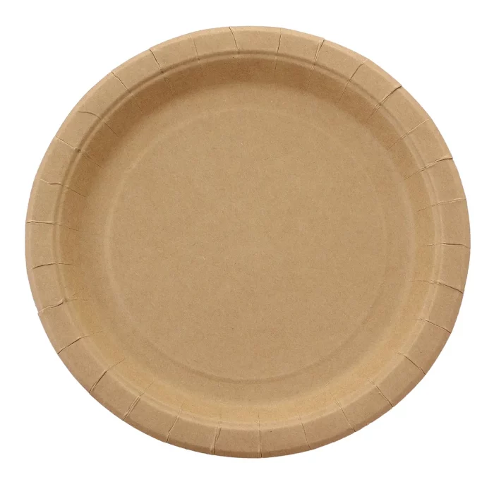 Our 6-pack of 'Eco-Friendly Festive Paper Plates' offers a party essential with a sustainable focus. Each 9-inch plate guarantees sizeable serving space.Crafted from durable kraft paper